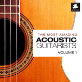 Most Amazing Acoustic Guitarists (The), Vol. 1