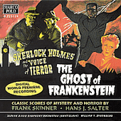 SALTER / SKINNER: Sherlock Homes and the Voice of Terror