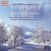 CHRISTMAS CHORAL MUSIC - DUBINSKY, F. / BORTNIANSKY, D. / SCHUBERT, F. / SCHEMELLI, G. / SILCHER, F. / KLETKE, H. / VERSTOVSKIJ, A.