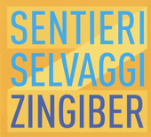 Chamber Music - COGGIOLA, P. / BOCCADORO, C. / BERIO, L. / GALANTE, C. / MONTALBETTI, M. / ANTONIONI, F. (Zingiber) (Sentieri Selvaggi)