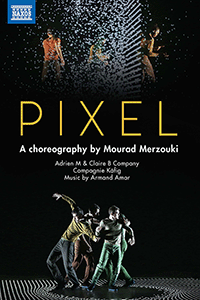 AMAR, A.: Pixel [Contemporary Dance] (Compagnie Käfig, 2014) (NTSC)