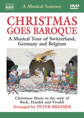 MUSICAL JOURNEY (A) - CHRISTMAS GOES BAROQUE: A Musical Tour of Switzerland, Germany and Belgium (NTSC)