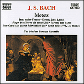 BACH, J.S.: Motets, BWV 225-230 (Scholars Baroque Ensemble)