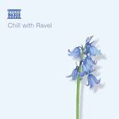 CHILL WITH RAVEL