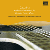 POPULAR GUITAR MUSIC
