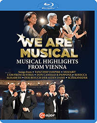 WE ARE MUSICAL - Musical Highlights from Vienna (Filipcic, Hakvoort, V. Heinz, Orchester der Vereinigten Bühnen Wien, Pichler) (Blu-ray, HD)
