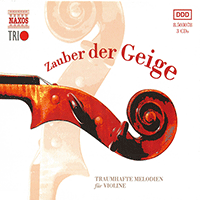 ZAUBER DER GEIGE