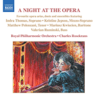 NIGHT AT THE OPERA (A) - Favourite opera arias, duets and ensembles