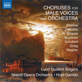 Choruses for Male Voices and Orchestra - SIBELIUS, J. / DEBUSSY, D. / STRAUSS, R. / BRUCKNER, A. / SCHUBERT, F. (Lunds Studentsangare)