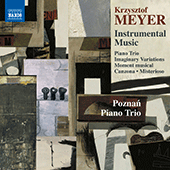 MEYER, K.: Instrumental Music - Canzona / Imaginary Variations / Moment Musical / Misterioso / Piano Trio (Poznan Piano Trio)