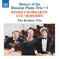 Piano Trios (Russian) - RIMSKY-KORSAKOV, N. / CUI, C. / BORODIN, A. (History of the Russian Piano Trio, Vol. 3) (Brahms Trio)