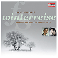 SCHUBERT, F.: Winterreise (Holzmair, Haefliger)