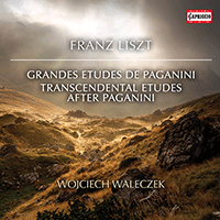 LISZT, F.: Grandes Études de Paganini / 6 Études d'exécution transcendante d'après Paganini (Waleczek)