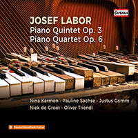 LABOR, J.: Piano Quintet / Piano Quartet (Karmon, Sachse, Grimm, De Groot, Triendl)