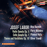 LABOR, J.: Violin Sonata, Op. 5 / Cello Sonata, Op. 7 / Theme and Variations, Op. 10 (P. Vojta, N. Karmon, F. Mijnders, O. Triendl)