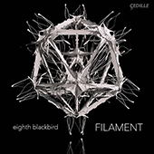 Chamber Music - DESSNER, B. / MUHLY, N. / LOTT, R. / GLASS, P. (FILAMENT) (eighth blackbird)