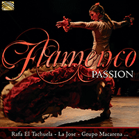 SPAIN Flamenco Passion