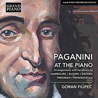 Piano Recital: Filipec, Goran - HAMBOURG, M. / BUSONI, F. / ZADORA, M. / FRIEDMAN, I. / PAPANDOPULO, B. (Paganini at the Piano)