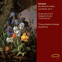 SCHUBERT, F.: Violin and Piano Music, Vol. 2 (Irnberger, Demus)