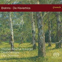 BRAHMS, J.: Piano Trios Nos. 1, 2, 3 / Trio in A Minor, Op. 114 (Irnberger, Geringas, Zilberstein)