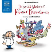 HUNTER, N.: Incredible Adventures of Professor Branestawm (The) (Unabridged)