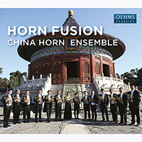 Horn Ensemble Music - STRAUSS, R. / BEETHOVEN, L. van / BACH, J.S. / BRUCKNER, A. (Horn Fusion) (China Horn Ensemble)