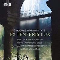 MARTINAITYTE, Ž.: Ex Tenebris Lux / Nunc fluens. Nunc stans. / Sielunmaisema (Vaitkevicius, Giunter, Lithuanian Chamber Orchestra, Variakojis)