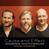 JOHANNESSON, Peter / SCHULTZ, Max / BERGLUND, Dan: Cause and Effect