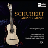 SCHUBERT, F.: Violin Sonata (Sonatina), D. 384 / Arpeggione Sonata, D. 821 (Schubert Arrangements) (Bergstrom)