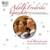 Choral Concert: Adolf Fredrik Boys Choir - KOHLER, E. / SIBELIUS, J. / NORDQVIST, G. / GRUBER, F.X. / BRITTEN, B. (In the Bleak Mid-Winter)