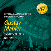 MAHLER, G.: Symphony No. 1, 