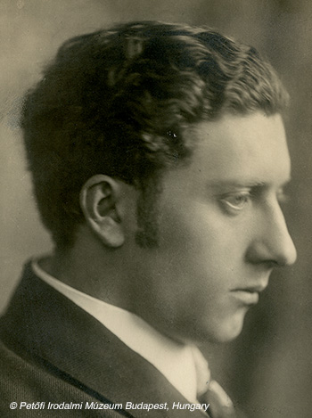 Tibor Hars&aacute;nyi