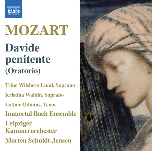 その他 Mozart: Davide Penitente [Blu-ray] [Import] w17b8b5 MOZART: Davide penitente / Regina coeli, K. 108 - 8.570231