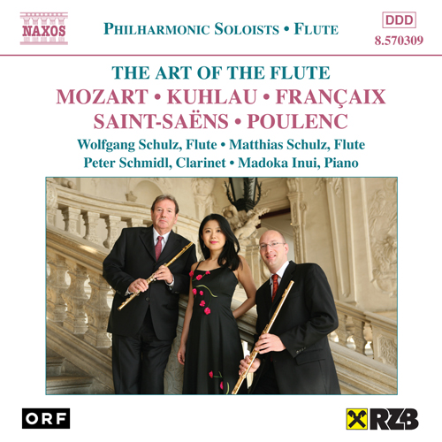 FLUTE (THE ART OF THE) - 8.570309 | Discover more releases