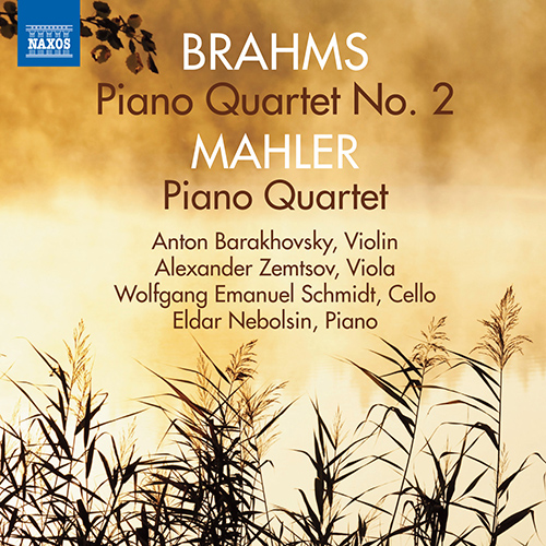 BRAHMS, J.: Piano Quartet No. 2 / Pian.. - 8.572799 | Discover releases from Naxos