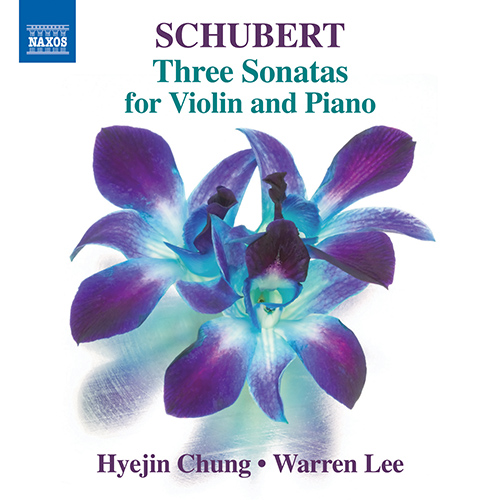 SCHUBERT, F.: Violin Sonatas (Sonatinas), Op. 137,.. - 8.573579