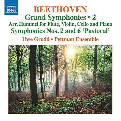 BEETHOVEN, L. van: Grand Symphonies, Vol. 2 - Symphonies Nos. 2 and 6 (arr. J.N. Hummel for flute and piano trio) (Pettman Ensemble)