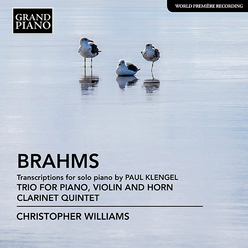 BRAHMS, J.: Trio for Violin, Horn and Piano / Clarinet Quintet (arr. P. Klengel for piano)