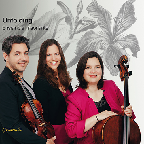 Chamber Music (Piano Trio) - DEBUSSY, C. / SCHUBERT, F. / RACHMANINOV, S. / SHOSTAKOVICH, D. (Unfolding) (Ensemble Trisonate)