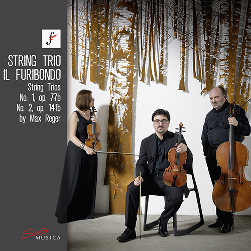 REGER, M.: String Trios Nos. 1 and 2 (Il Furibondo)