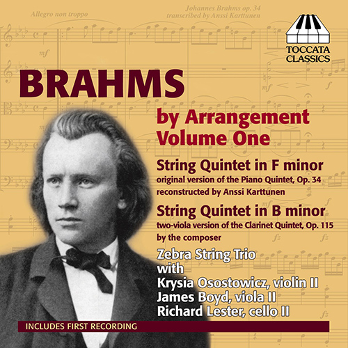 BRAHMS, J.: Arrangements, Vol. 1 (Zebra String Trio)