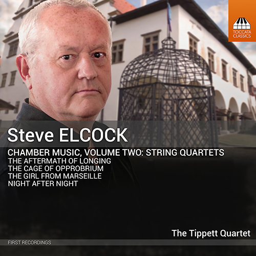 STEVE E.: Chamber Music, Vol. 2 - String Quartets (Tippett Quartet)