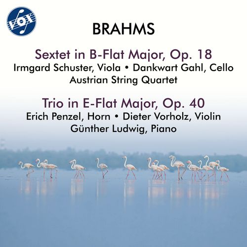 BRAHMS, J.: String Sextet No. 1 / Trio for Violin, Horn and Piano (Penzel, Vorholz, Schuster, Gahl, G. Ludwig,  Austrian String Quartet)