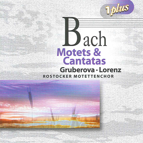 BACH, J.S.: Motets, BWV 225-230 / Cantatas (Eschenburg, Pommer, Winschermann)