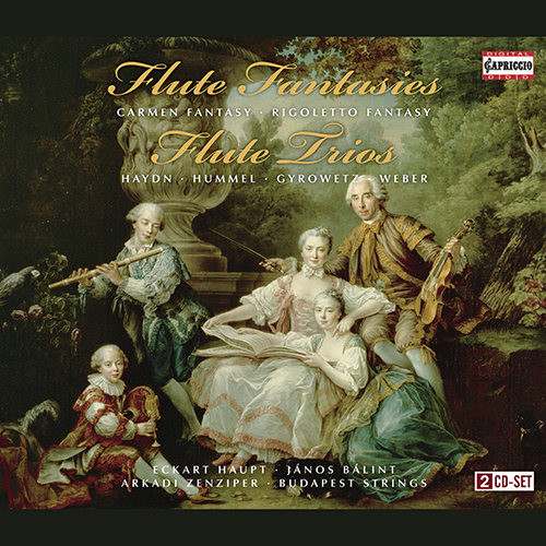 Flute Fantasies / Flute Trios - BORNE, F. / DOPPLER, F. / HUMMEL, J.N. / HAYDN, J. / (Balint, Kovacs, Budapest Strings, Haupt, Teutsch, Zenziper)