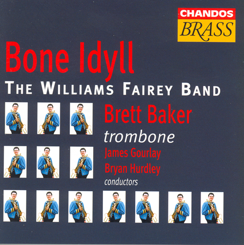 WILLIAMS FAIREY BAND: Bone Idyll