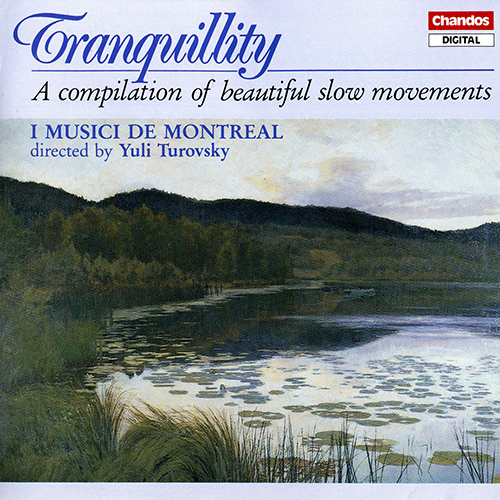 TRANQUILLITY – A COMPILATION OF BEAUTIFUL SLOW MOVEMENTS