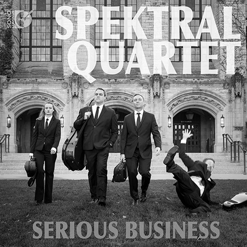 Chamber Music - MACKLAY, S. / REMINICK, D. / HAYDN, J. / FISHER-LOCHHEAD, C. (Serious Business) (Spektral Quartet)