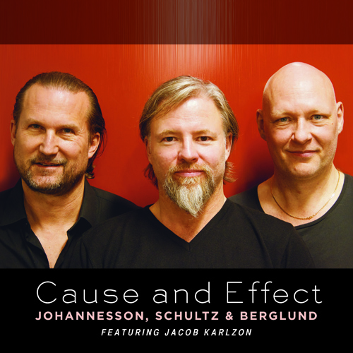 JOHANNESSON, Peter / SCHULTZ, Max / BERGLUND, Dan: Cause and Effect