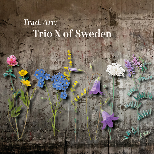 TRIO X OF SWEDEN: Trad. Arr: